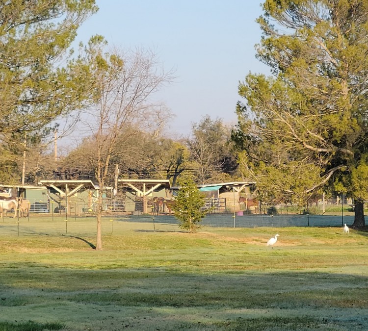 Orangevale Community Park (Orangevale,&nbspCA)
